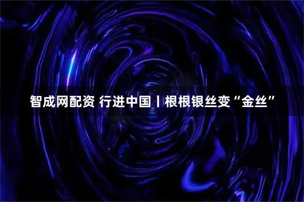 智成网配资 行进中国丨根根银丝变“金丝”