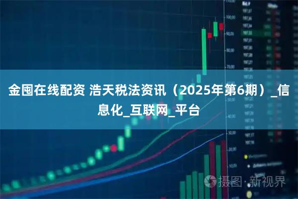 金囤在线配资 浩天税法资讯（2025年第6期）_信息化_互联网_平台