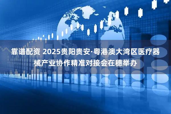 靠谱配资 2025贵阳贵安·粤港澳大湾区医疗器械产业协作精准对接会在穗举办