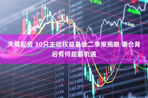 天尊配资 30只主动权益基金二季报揭晓 调仓背后有何超额机遇